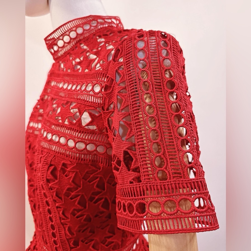 HIGH NECK STAR LACE PANELLED DRESS By Self-portrait - Picture 6 of 10